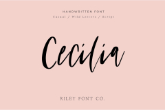 Cecilia Font Messy Handwriting Font Casual Trendy Script - Etsy Norway
