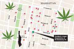 Over 30 illegal weed shops surround single legal cannabis ...