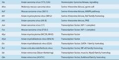 Oncogenic Viruses and Tumor Viruses - Basic Science of Oncology ...