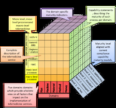 The Telemedicine Service Maturity Model: A Framework for the ...