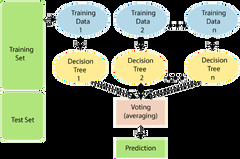 Random Forest Algorithm in Machine Learning