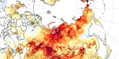 Prolonged Siberian heat almost impossible without climate change ...