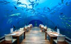 Ithaa Undersea Restaurant, Maldives (Conrad Maldives Rangali Island Underwater Hotel)