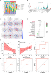 CXCR2 as a Novel Diagnostic Biomarker of Pediatric EoE | ITT