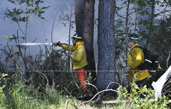 What's happening in Maui? The latest updates on the Hawaii fires ...