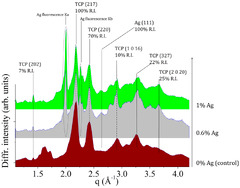 JFB |-Text | Silver-Doped Calcium Phosphate Bone Cements ...