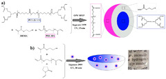 JFB |-Text | Hydrogels for Hydrophobic Drug Delivery ...