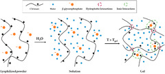 JFB |-Text | Development and Evaluation of an Injectable ...