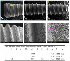 JFB |-Text | Micro-Nano Surface Characterization and ...