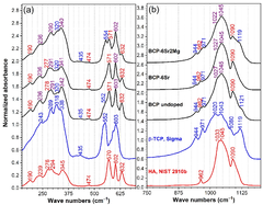 JFB |-Text | Sr and Mg Doped Bi-Phasic Calcium Phosphate ...