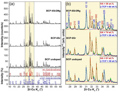 JFB |-Text | Sr and Mg Doped Bi-Phasic Calcium Phosphate ...