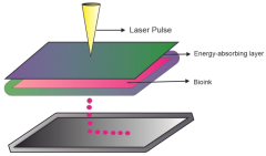 JFB |-Text | 3D Bioing Technology and Hydrogels ...