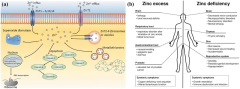 JFB |-Text | Recent Developments in Zn-Based ...