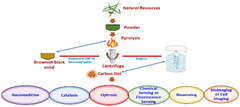 JFB |-Text | Green Carbon Dots: Synthesis ...