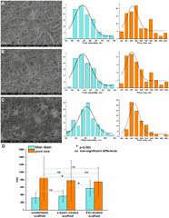 JFB |-Text | Effect of Sterilization Methods on ...