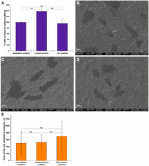 JFB |-Text | Effect of Sterilization Methods on ...