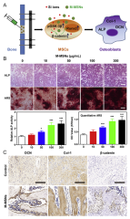 JFB |-Text | Recent Advances in Stem Cell ...