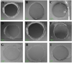 JFB |-Text | The Effect of Femtosecond Laser Surface ...