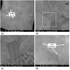 JFB |-Text | Development of Novel Antibacterial Ti-Nb-Ga ...