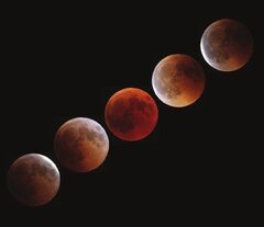 Total Lunar Eclipse (Super Blood Moon Eclipse)