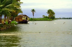 Alleppey Houseboat (Alleppey Backwater View)