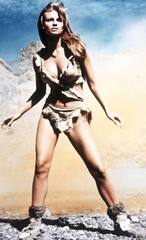 One Million Years B.C. (Raquel Welch)