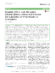 PDF) Contributions to the mathematics of the nonstandard finite ...