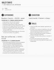 Learning Developer Resume Samples | Velvet Jobs