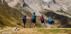 Pyrenees