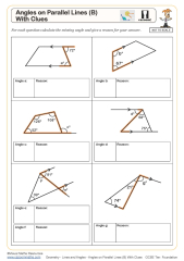 Lines, Angles, Triangles Math Quiz - Worksheets Library