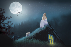 Manipulation Roof Moon Moon Grass Woman Cat Animal Trees Fog Forest Sky