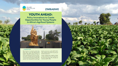 Zimbabwe Case Study - Youth Ahead: Policy Innovations to Create ...