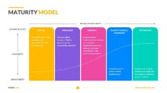 Capability Maturity Model