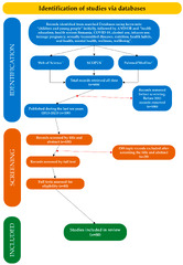 Screening Identification Flowchart