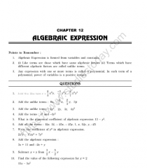 Solving Algebraic Expressions - Worksheet Digital - Worksheets Library