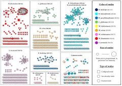 Microorganisms |-Text | Prioritization of Microorganisms ...