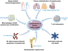 Microorganisms |-Text | Possible Mechanisms of ...