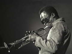Miles Davis - Portrait Collector (Miles Davis B&W Live Wall)