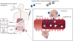 Molecules |-Text | Nano-Drug Delivery Systems Based on