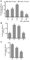 MPs |-Text | Novel 'Bacteriospray' Method Facilitates ...