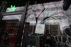 Over 30 illegal weed shops surround single legal cannabis ...