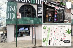 Over 30 illegal weed shops surround single legal cannabis ...