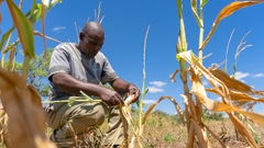 How an El Niño-Driven Drought Brought Hunger to Southern Africa ...