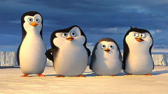 Penguins of Madagascar (Penguins Of Madagascar Baby Private On Screen)