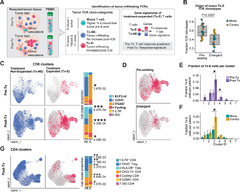 Tissue-resident memory and circulating T cells are early ...