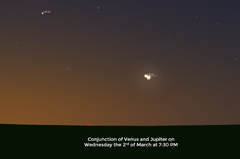 Venus (Jupiter)