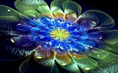 Abstract Fractal Flowers Blue Flowers