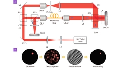 Optical scanning endoscope via a single multimode optical fiber