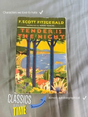 Reader's Companion to F. Scott Fitzgerald's Tender is the Night (Tender Is the Night)