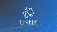 Open Neural Network Exchange (ONNX)